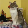 Отзыв от Валентина Семенова